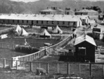 Camp on Somes Island