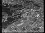 Aerial view of Wellington Public Hospital buildings, Newtown, Wellington