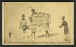 Baillie, Gordon (Wellington) fl 1866-1875 :N.Z Donkey as Beast of Burden, overloaded