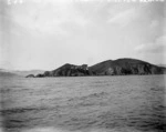 Somes Island