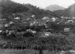 Waiuta township looking east