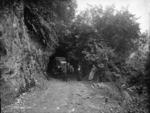 Group with horses and carriage, Buller Gorge