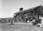 A crowd at the surf club, Paekakariki beach