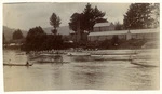 Waka at a regatta, Ngaruawahia