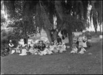 Sunday school picnic, Ngaruawahia