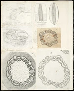 Buchanan, John, 1819-1898 :[Six drawings. 1. Concretions (Moeraki Beach); 2. Moeraki boulders; 3. Moeraki Beach concretions. 4-6. Sections of the trunk of a tree-fern, hemitalia smithii. Late 1850s or early 1860s?]