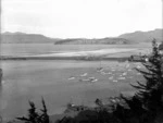 View of Lyttelton Harbour and Quail Island