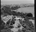 New Plymouth racecourse in the background