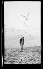 Woman walking among white fronted terns at Waitaki, Otago