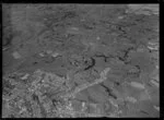 Aerial view of Pakuranga to Otara, Auckland, for Auckland Hospital Board