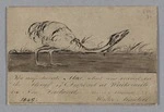 Mantell, Walter Baldock Durrant 1820-1895 :The unfortunate Moa, what was mired in the Slough of Despond at Waikouaiti in New Zealand. Anno Mundi??? 1849