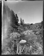 Karangahake Gorge, Hauraki District