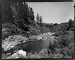 Karangahake Gorge, Hauraki District