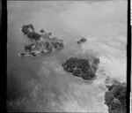 Motuhaku and Nelson Islands, Kaikoura Island, Port Fitzroy, Great Barrier Island