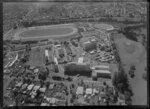 Greenlane Hospital, Auckland with Alexandra Park in the background