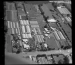 Wong and Guthrie horticultural land, with glasshouses, Favona, Mangere, Auckland