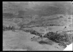 Kauri Point, Waitemata Harbour, Auckland