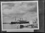 Seaplane and cruise ship at Mechanics Bay, Auckland