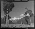 Mt Tasman and Fox Glacier, West Coast Region