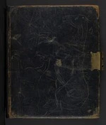 Hawkins, William Webster, 1842-1918 : Diary