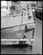 Tugboat Tapuhi berthed in Wellington Harbour