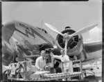 Loading the freight into the Lodestar, Kotuku, Paraparaumu airport