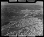 New housing, Hutt Valley