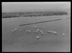 100th Anniversary Day regatta, Auckland Harbour