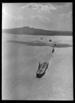 Vessels of the combined naval fleets of Australia and New Zealand, Auckland