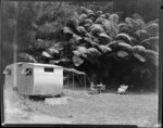 Unidentified campers at Red Beach, Rodney District, including tree ferns and caravan with awning