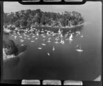 Royal New Zealand Yacht Society boats moored in bay, Kawau Island, Hauraki Gulf, Auckland Region