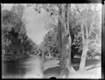 Avon River, Christchurch