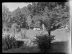 Camping, Red Beach, Rodney District