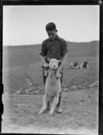Unidentified Maori boy holding lamb in padock, location unknown