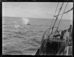 Whaling boat pursuing whale in open sea, Bay of Islands, Far North District, Northland Region, including harpoon gun