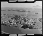 Whakatane Board Mills, Bay of Plenty