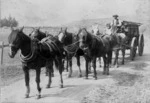 Horse drawn cart driven by Ned Boulton, Pauatahanui