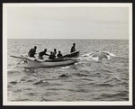 Side view of six men in wooden boat in pursuit of whale