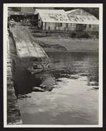 Processing bay of Whangamumu harbour with whale and man in boat in foreground