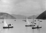 Rob Roy canoes in Pelorus Sound - Photographed by Arthur Thomas Bothamley