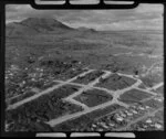 Land development in Taupo, looking towards Mount Tauhara, Waikato region