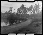 Two unidentified girls walking down road at Faleolo, Apia, Upolu, Samoa, palm trees and fales in background