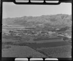 Forested area around township, Hanmer Springs, Canterbury