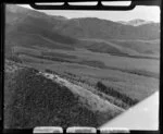 Forested area, Hamner, Canterbury