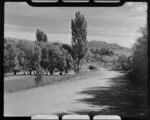 Ruatoria, Gisborne District, showing Mount Hikurangi in the distance