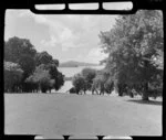 Parnell gardens, Parnell, Auckland