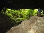 Oparara caves