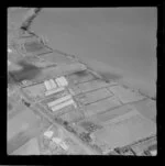 Farm land, Tamaki, Auckland