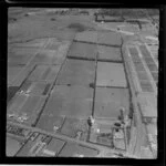 Farm land, Tamaki, Auckland