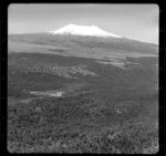 Taurewa Bush, Taupo District, showing Mount Ruapehu